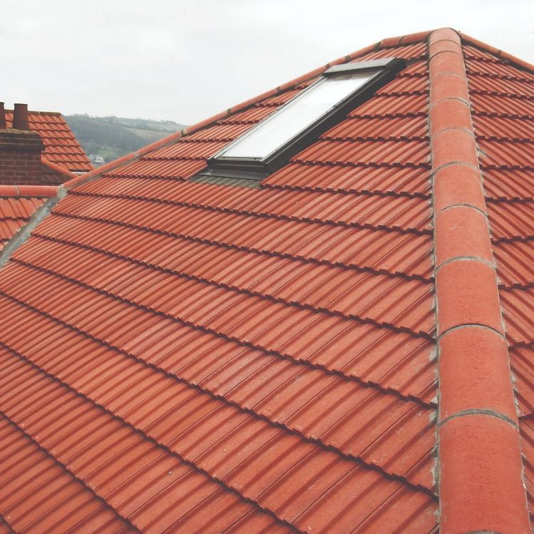 New tiled roof with skylight